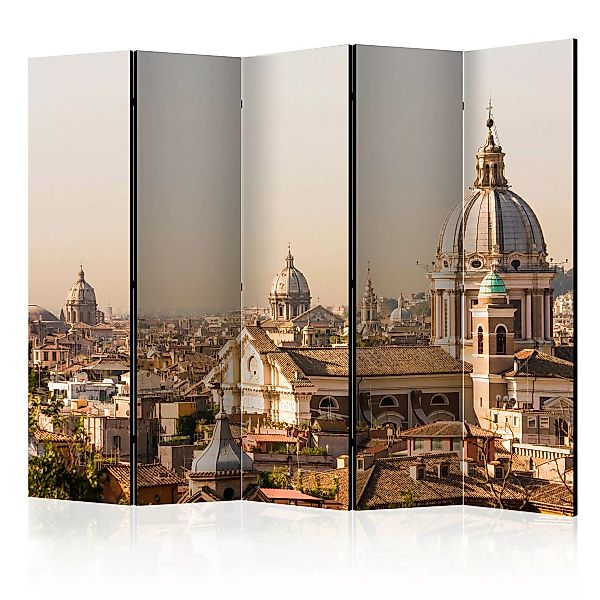 5-teiliges Paravent - Rome - Bird's Eye View Ii [room Dividers] günstig online kaufen