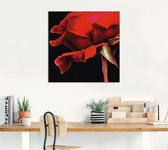 Artland Wandbild "Rose", Blumen, (1 St.), als Alubild, Outdoorbild, Wandauf günstig online kaufen