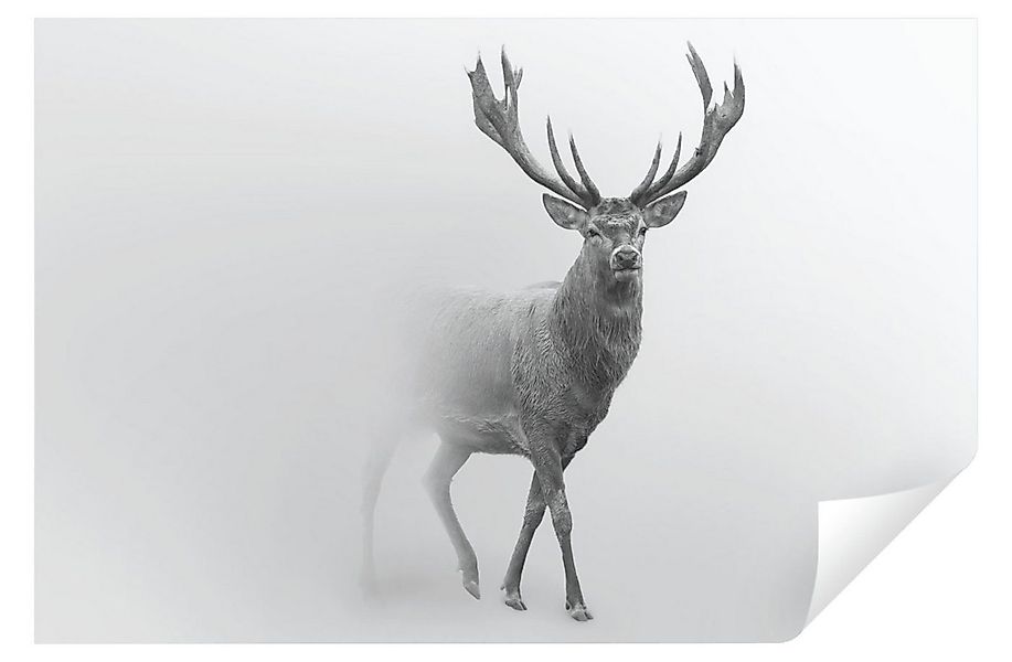 Wallarena Fototapete Hirsche Tier Schwarz-weiß Wohnzimmer Schlafzimmer Vlie günstig online kaufen