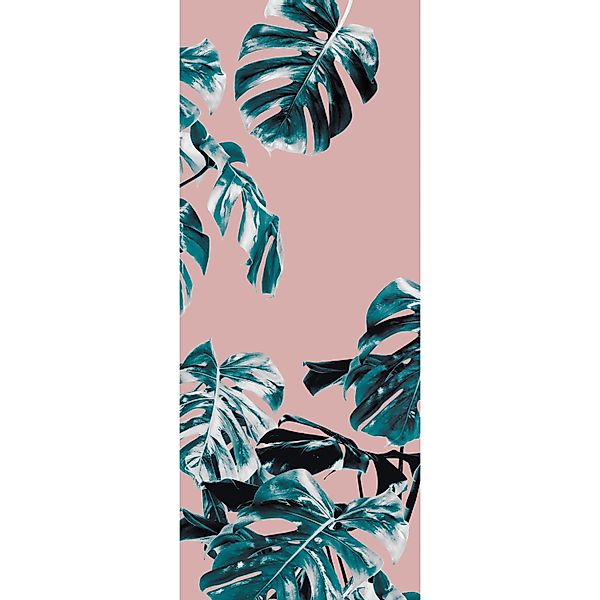 Komar Fototapete Vlies Monstera Rosé Panel 100 x 250 cm  100 x 250 cm günstig online kaufen