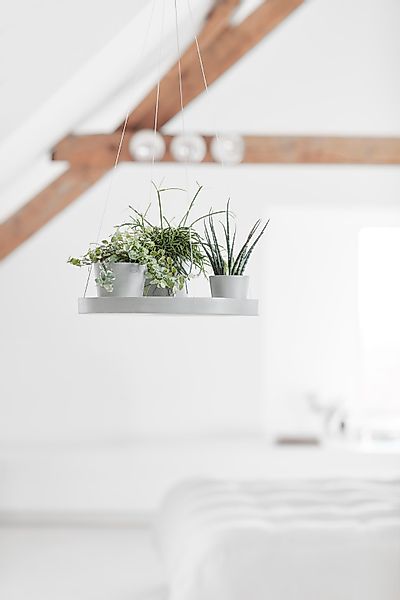 ECOPOTS Blumentopfuntersetzer "HANGING SAUCER White Grey", BxTxH: 36x36x3 c günstig online kaufen