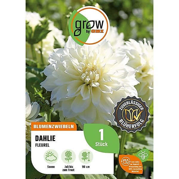 GROW by OBI Dahlie Fleurel Höhe ca. 90 cm günstig online kaufen