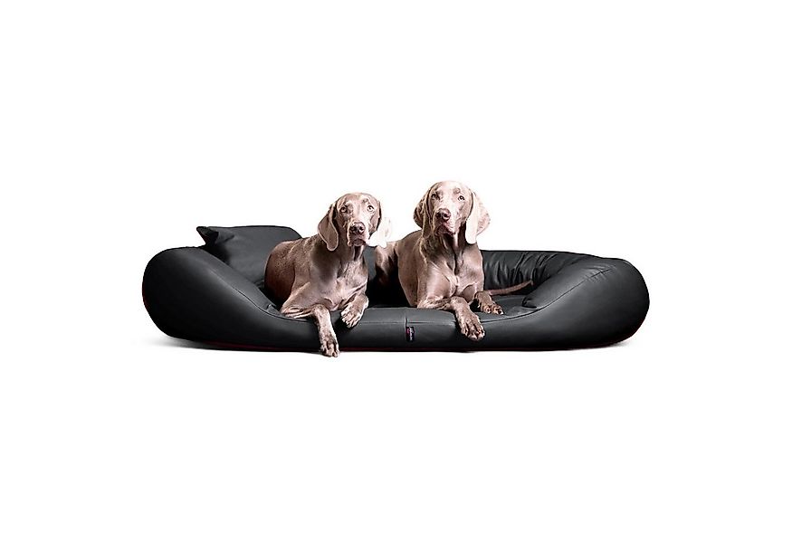 tierlando® Tierbett SAMMY EASY CLEAN Orthopädisches Hundebett, Abwischbar, günstig online kaufen