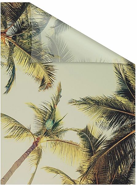 LICHTBLICK ORIGINAL Fensterfolie Palmen und Sonne, günstig online kaufen