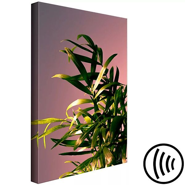 Wandbild Pflanzenakzent - minimalistische Nahaufnahme einse Blattes XXL günstig online kaufen