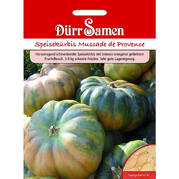 Dürr Samen Speisekürbis Muscade De Provence Saatgut günstig online kaufen