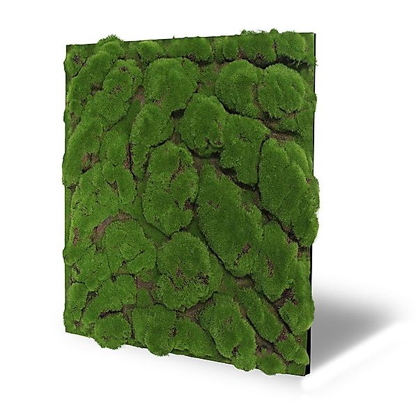IKHEMalarka 3D Wandpaneel Pflanzenpaneele Pflanzen Deckenpaneele, günstig online kaufen