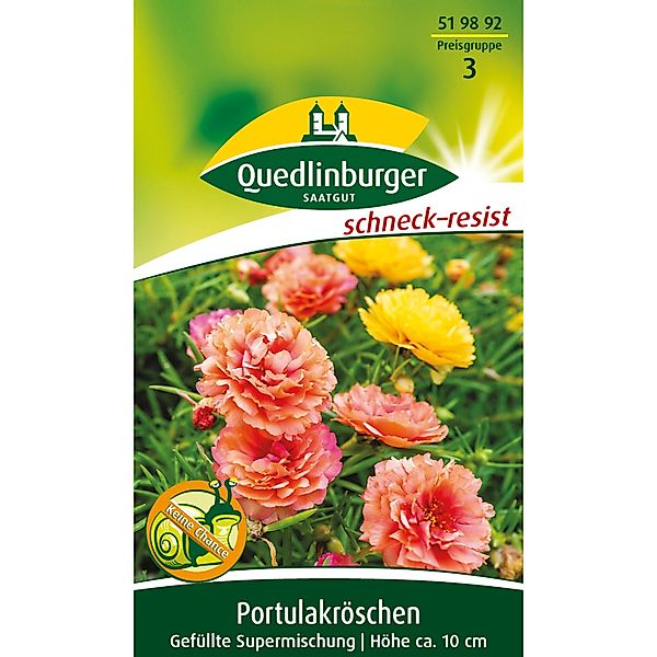 Quedlinburger Portulakröschen ''gefüllte Mischung'' günstig online kaufen