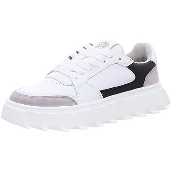 Apple Of Eden  Sneaker LONDON 12 günstig online kaufen