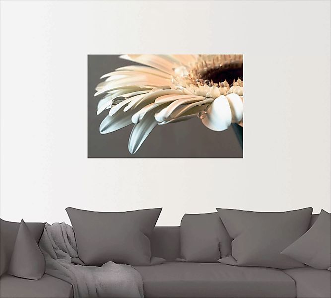 Artland Wandbild »Blüte einer Gerbera«, Blumen, (1 St.), als Leinwandbild, günstig online kaufen