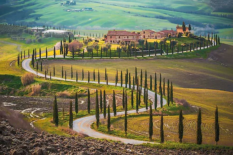 Papermoon Fototapete »Fields in Tuscany« günstig online kaufen