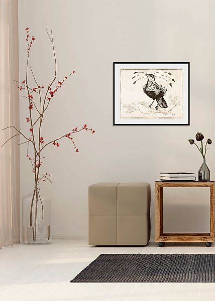 queence Bild "Ann-Sophie", Vögel-Vogelbilder-historische Ereignisse-Kunst, günstig online kaufen