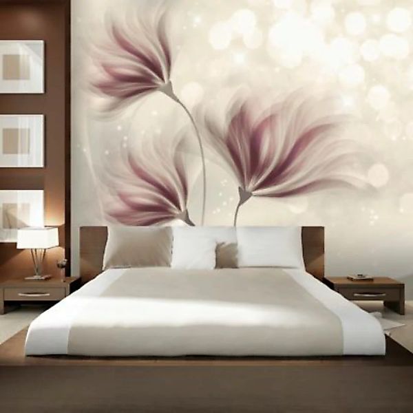 artgeist Fototapete Luminous Morning mehrfarbig Gr. 150 x 105 günstig online kaufen