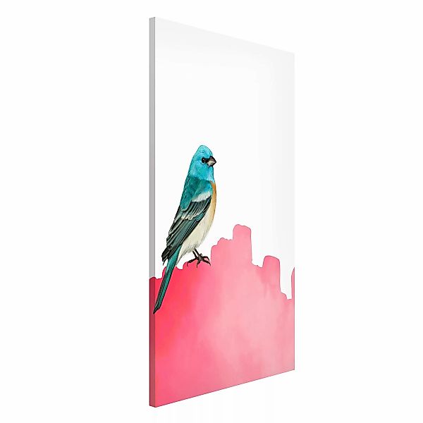 Magnettafel Vogel auf Pink günstig online kaufen