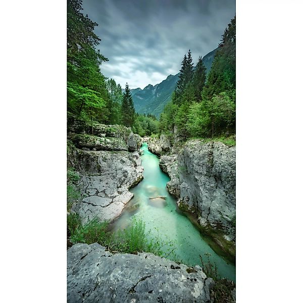Erismann Digitaltapete Zooom Green River 270 cm x 150 cm günstig online kaufen