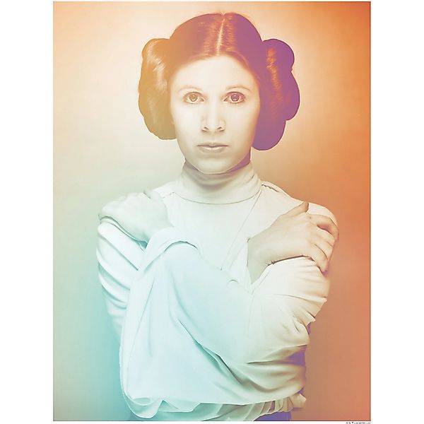 Komar Wandbild Star Wars Leia 40 x 50 cm günstig online kaufen