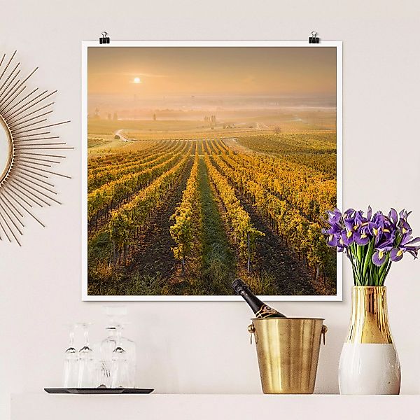 Poster - Quadrat Herbstliche Weinberge bei Wien günstig online kaufen