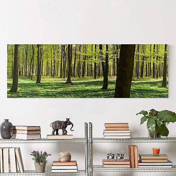 Leinwandbild Wald - Panorama Waldwiese günstig online kaufen
