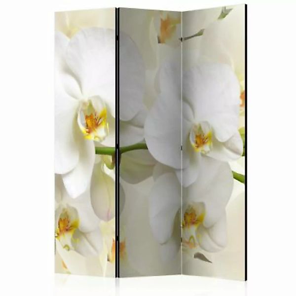 artgeist Paravent Orchid Branch [Room Dividers] gelb-kombi Gr. 135 x 172 günstig online kaufen