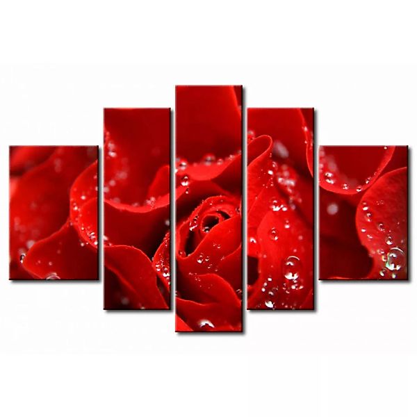 Bild auf Leinwand Kuß der roten Rose XXL günstig online kaufen