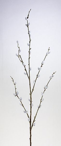 Kunstzweig Weidenkätzchenzweig 115cm FI künstliche Palmkätzchen Salix Weide günstig online kaufen