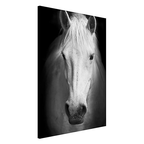 Magnettafel Tiere - Hochformat 2:3 Dream of a Horse günstig online kaufen