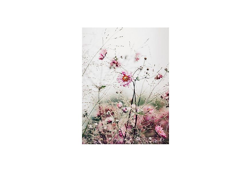 Roomy Fensterfolie Fensterfolie günstig online kaufen