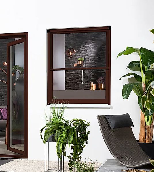 hecht international Insektenschutzrollo »SMART«, transparent, Insektenschut günstig online kaufen