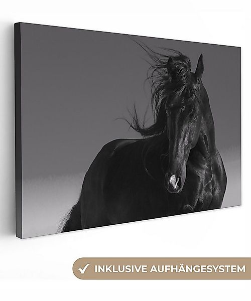 OneMillionCanvasses® Leinwandbild Pferd - Tiere - Mähne - Schwarz, Fotodruc günstig online kaufen