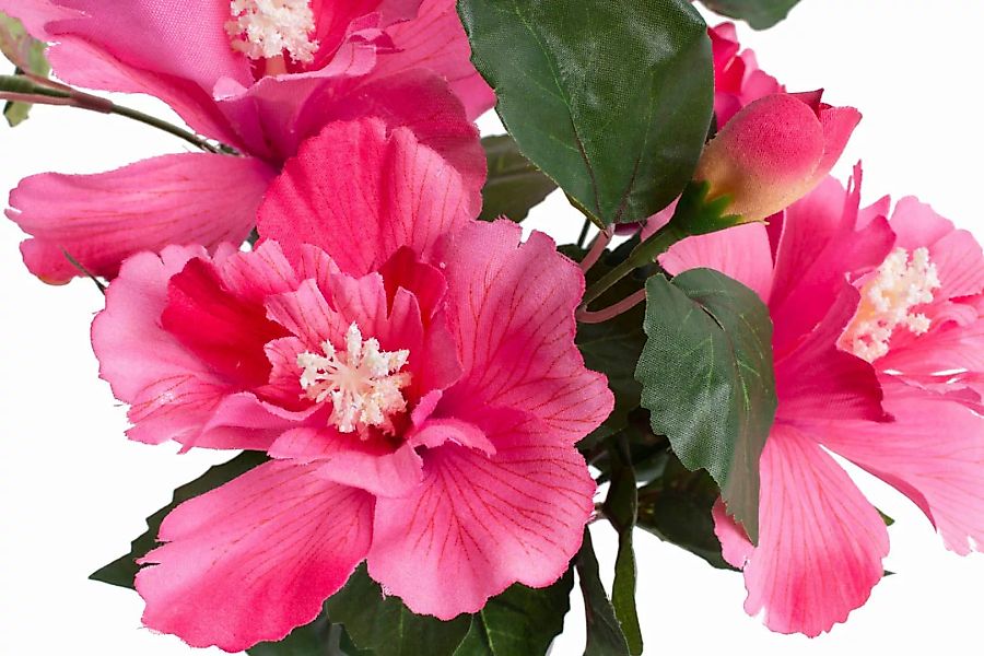 Botanic-Haus Kunstblume "Hibiskus im Topf" günstig online kaufen