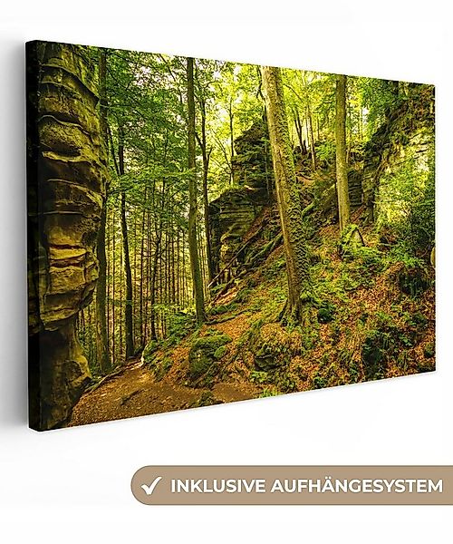 OneMillionCanvasses® Leinwandbild Bäume - Stein - Wald - Natur - Pflanzen, günstig online kaufen