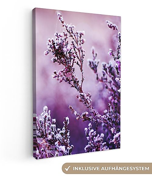 OneMillionCanvasses® Leinwandbild Lavendel - Winter - günstig online kaufen