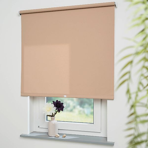 Liedeco Springrollo "Uni" Lichtschutz mit Bohren freihängend Rollowelle 36 günstig online kaufen