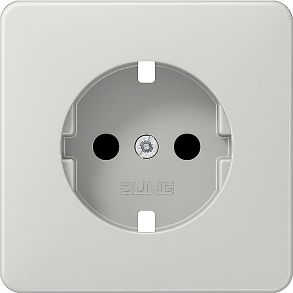 Jung Zentralplatte f. SCHUKO-Steckdose CD 520 KIBF LG PL - CD520KIBFLGPL günstig online kaufen