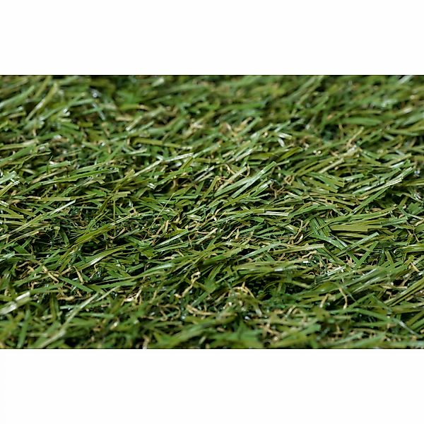 Andiamo Kunstrasen "Rasenteppich Jever", rechteckig, 20 mm Höhe, natürliche günstig online kaufen