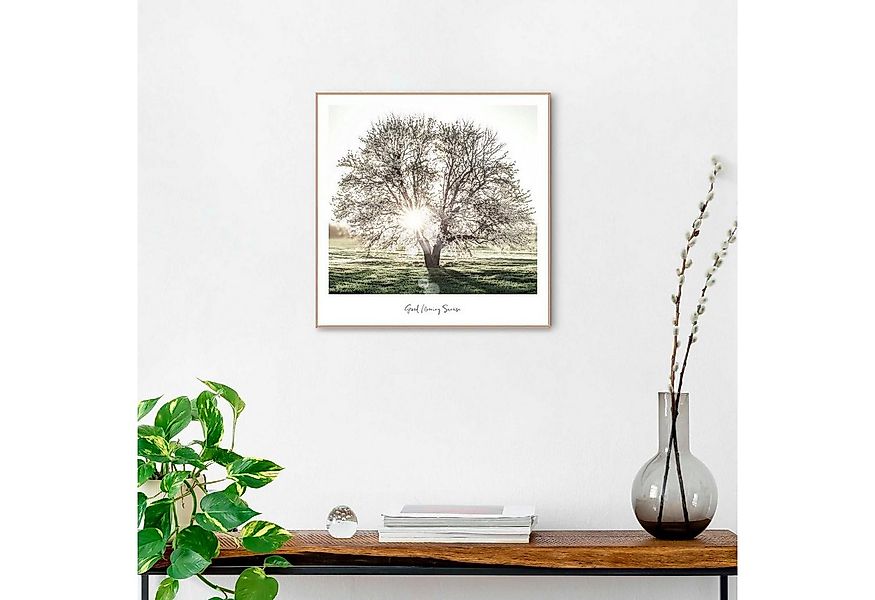 Reinders! Poster Morgensonne günstig online kaufen