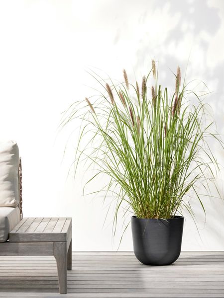 ECOPOTS Blumentopf Oslo 25 Dunkelgrau, für günstig online kaufen