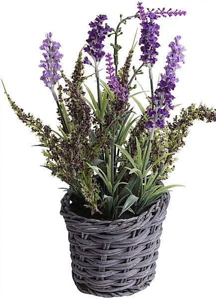 Botanic-Haus Künstliche Zimmerpflanze "Lavendel - Erika Arrangement im Korb günstig online kaufen