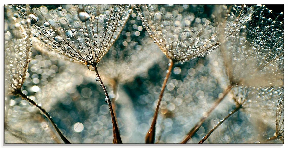 Artland Glasbild "Pusteblume Regenschauer" 1 Stk. tlg. in verschiedenen Grö günstig online kaufen
