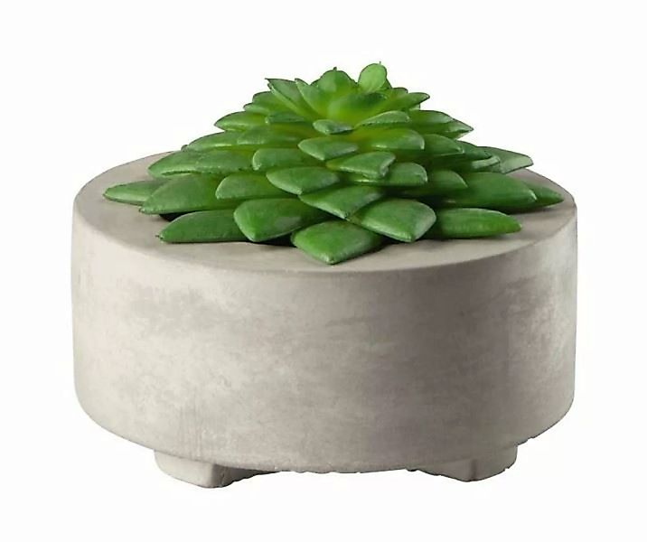 ASA Kunstpflanzen & -blumen Maxi Sukkulente II im grauen Betontopf grün 10, günstig online kaufen