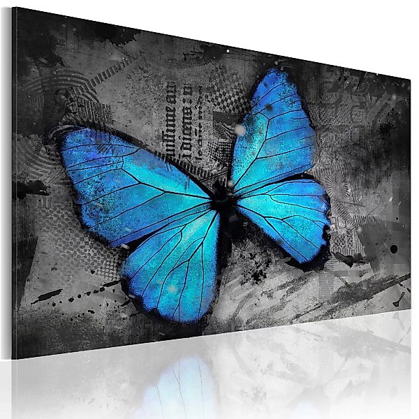 Wandbild - Studie des Schmetterlings günstig online kaufen