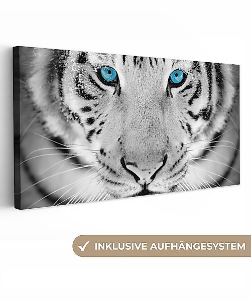 OneMillionCanvasses® Leinwandbild Panorama Tiere - Tiger günstig online kaufen