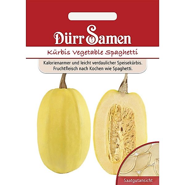 Dürr Samen Spaghetti-Kürbis Vegetable Spaghetti Saatgut günstig online kaufen