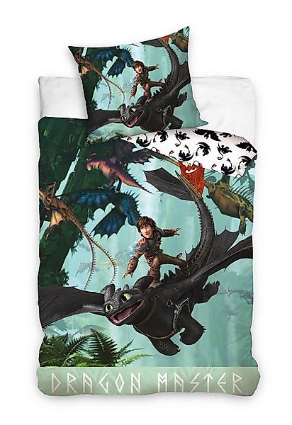 DreamWorks Bettwäsche Dragons Drachenzähmen leicht gemacht Kinderbettwäsche günstig online kaufen