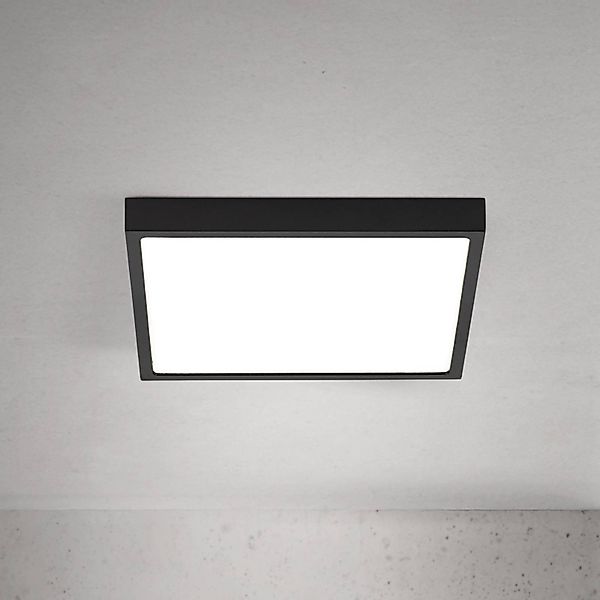 LED-Deckenlampe Disc, schwarz Länge 24 cm, CCT Metall günstig online kaufen