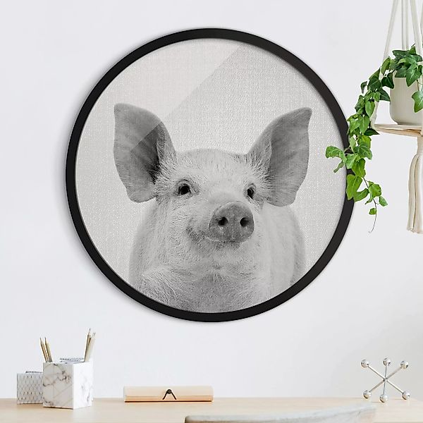 Rundes Gerahmtes Bild Schwein Schorsch Schwarz Weiß günstig online kaufen
