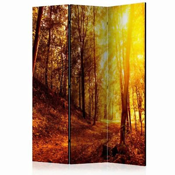 artgeist Paravent Autumn Walk [Room Dividers] mehrfarbig Gr. 135 x 172 günstig online kaufen