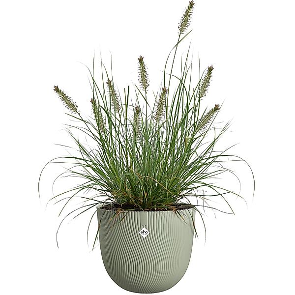 Elho Blumentopf Sereh Ø 30 cm x 25 cm Grün günstig online kaufen