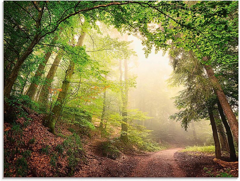 Artland Glasbild "Natürliche Torbögen durch Bäume" Wald 1 Stk. tlg. in vers günstig online kaufen