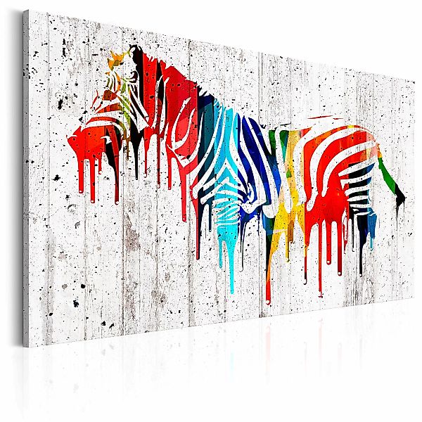 Wandbild - Das bunte Zebra günstig online kaufen